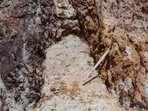 KPK Ungkit Tambang Emas Ilegal di Sekitar TN Komodo, ESDM: Ada Bukaan Lahan