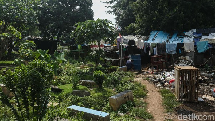 Bolehkah Menanam Pohon di Makam? Ini Hukumnya dalam Islam