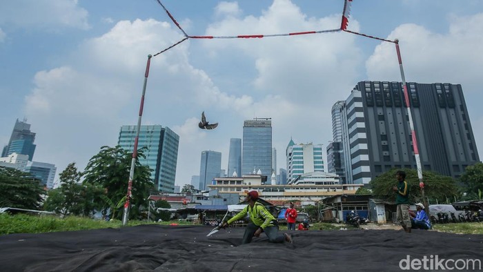 Joki burung saat berlatih di Lapak Kolong Casablanca, Jakarta, Selasa (2/12/2025). Kegiatan ini telah dilakukan bertahun-tahun, mereka rutin melakukan latihan nyaris setiap hari.