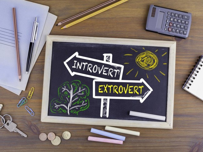 Perbedaan extrovert dan introvert
