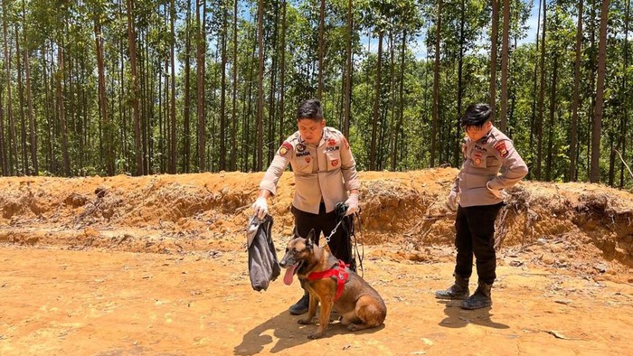 Reno, anjing K-9 Polda Riau gugur dalam tugas kemanusiaan di Agam, Sumbar.