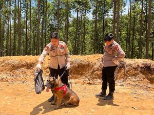 Video We Lost A Real MVP: Anjing Reno Gugur di Misi SAR Sumbar