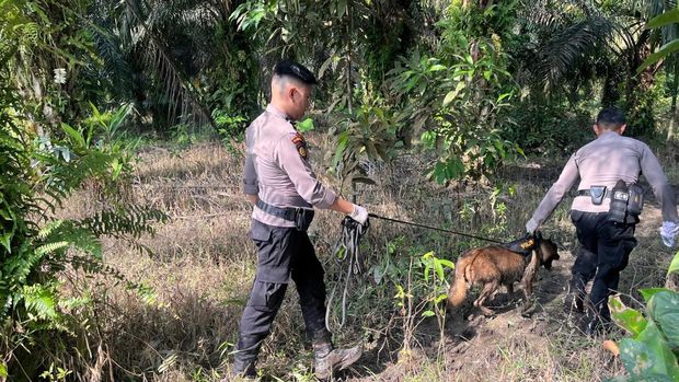 Reno, anjing K-9 Polda Riau gugur dalam tugas kemanusiaan di Agam, Sumbar. Reno, anjing K-9 Polda Riau gugur dalam tugas kemanusiaan di Agam, Sumbar.