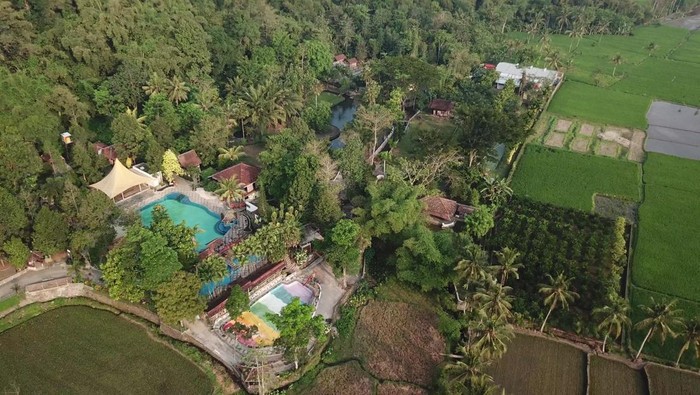 Taman Botani Sukorambi, Destinasi Edukasi-Rekreasi Keluarga di Jember