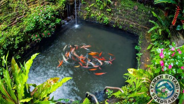Taman Botani Sukorambi Taman Botani Sukorambi