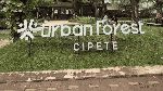 Urban Forest Cipete, Oase Hijau Gratis di Dekat Stasiun MRT Jakarta