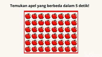 Bisa Temukan Satu Objek yang Berbeda? Buktikan Ketajaman Matamu!