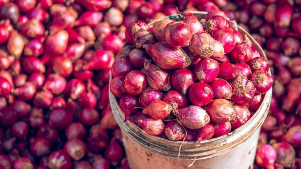 Bawang Merah Harga Sembako Jogja Hari Ini 3 Desember 2025: Giliran Bawang Merah Naik!