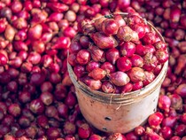 Harga Sembako Jogja Hari Ini 3 Desember 2025: Giliran Bawang Merah Naik!