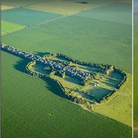 Bikin Haru, Kisah di Balik Hutan Gitar Raksasa yang Dibuat Petani Untuk Istri