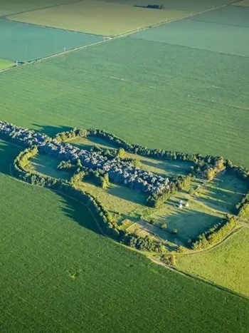 Bikin Haru, Kisah di Balik Hutan Gitar Raksasa yang Dibuat Petani Untuk Istri