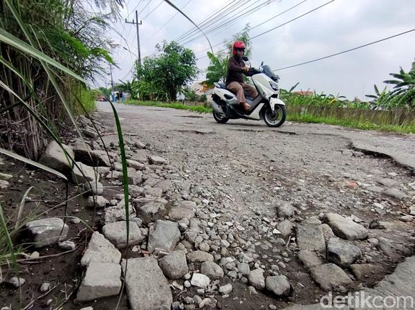 Duh! Jalan di Sidoarjo Ini Penuh Lubang