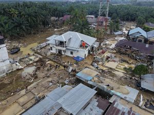 Kata BNPB soal Desakan Penetapan Status Bencana Nasional di Sumatera