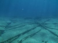 Police Goes to School, Kapolres Depok Imbau Siswa Tak Ikut Tawuran-Demo