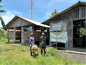 S2P Kembangkan Kelompok Ternak di Desa Karangkandri Jadi Lebih Modern