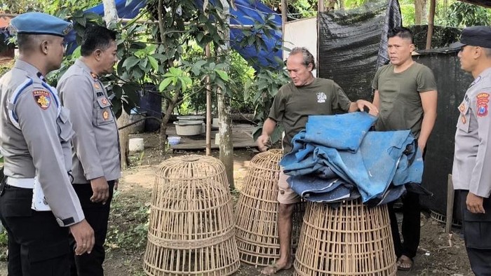 Arena Judi Sabung Ayam Trenggalek Digerebek Polisi Usai Warga Lapor 110