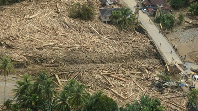 Material Kayu Menggunung Setelah Arus Deras Menerjang Tapanuli