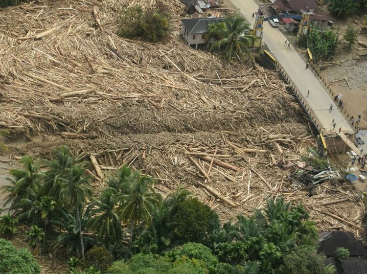 Material Kayu Menggunung Setelah Arus Deras Menerjang Tapanuli