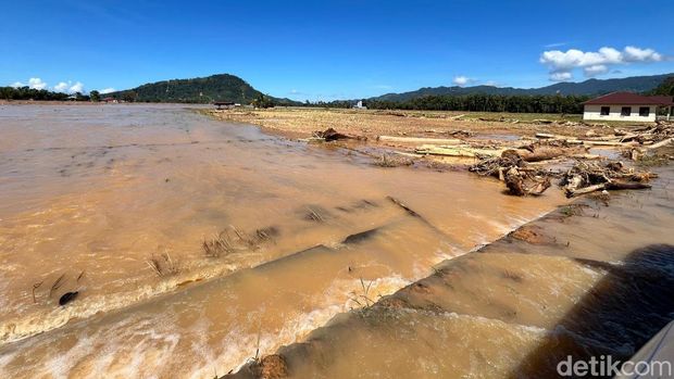 Mentan Cek Beras hingga Sawah Terendam Banjir di Tapanuli Tengah Mentan Cek Beras hingga Sawah Terendam Banjir di Tapanuli Tengah