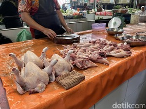Harga Sembako Jogja Hari Ini 16 Desember 2025: Daging Ayam Konsisten Naik!
