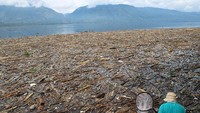 Pada 2 Desember 2025, terlihat puing dan sampah menutupi tepi Danau Singkarak setelah banjir bandang, sementara Sumatera Barat masih bergulat dengan banjir bandang dan tanah longsor yang mematikan. Foto: Getty Images