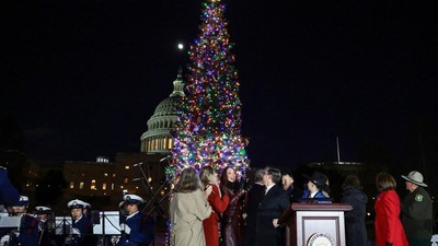 Pohon Natal Capitol Menyala, Tradisi Panjang Kembali Hidup di Washington
