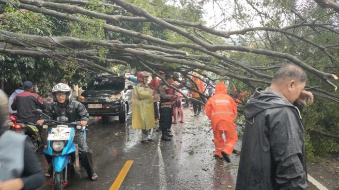 Hujan-Angin Kencang Bikin Pohon Besar di Jl Muchtar Raya Depok Tumbang