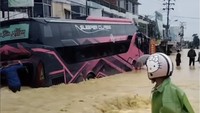 Potret Bus-bus Sumatera Bertahan dari Terjangan Banjir