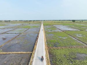 DPUPR Indramayu Benahi Ruas Jalan untuk Permudah Akses Pertanian