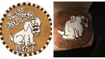 Masalahnya, kuenya buat tamu manusia. Foto: matteg99 via Reddit