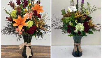 Kok kering kerontang? Foto: Dojomojocasahouse_ via Reddit