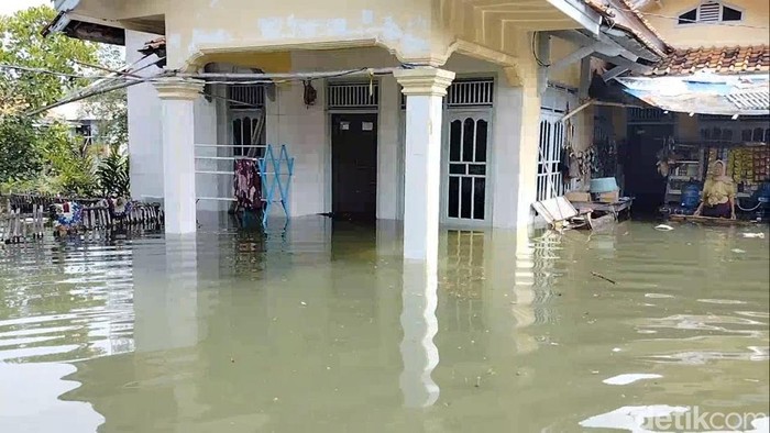 Hampir Seribuan Rumah Tergenang Banjir Rob di Pantura Subang