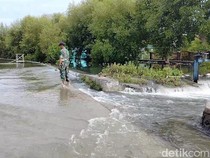 Purwasuka Sepekan: Banjir Rob Terjang Seribuan Rumah di Subang