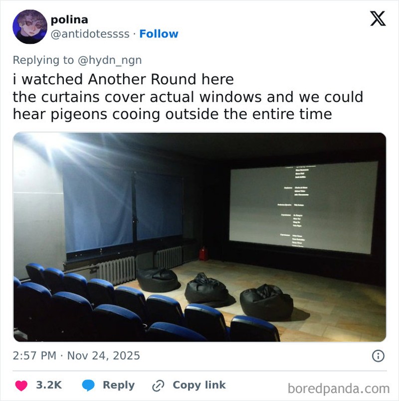 Bioskop Aneh