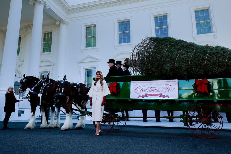 WASHINGTON, DC - NOVEMBER 24: First lady Melania Trump welcomes the official 2025 White House Christmas Tree outside the North Portico of the White House on November 24, 2025 in Washington, DC. Named the National Christmas Tree Association's 2025 Grand Champions, Rex and Jessica Korson, of Korson's Tree Farms, grew the tree on their second-generation evergreen farm in Sidney, Michigan. (Photo by Heather Diehl/Getty Images)