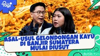 Asal-usul Gelondongan Kayu di Banjir Sumatera Mulai Diusut