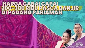 Video: Kondisi Terkini Posko Pengungsi di Padang Pariaman