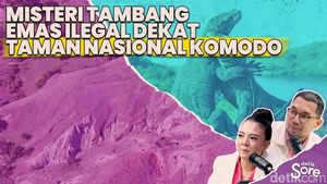 Video: Tambang Emas Ilegal Muncul di Dekat TN Komodo