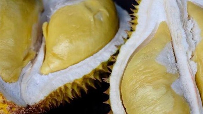 Durian Jemongko Kuning. Foto: Instagram Mantan Gubernur Kalimantan Barat, Sutarmidji @bang.midji