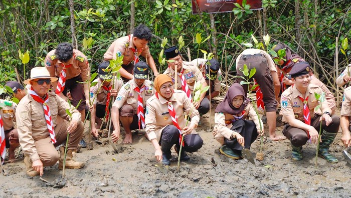Khofifah Tanam Mangrove Bareng Pramuka: Bangun Benteng Ekologi Masa Depan