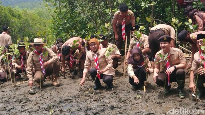 Gubernur Khofifah menanam mangrove di Pantai Watulimo Trenggalek