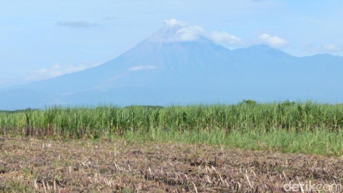 Gunung Semeru 4 Kali Erupsi Pagi Ini, Kolom Abu Capai 1.000 Meter