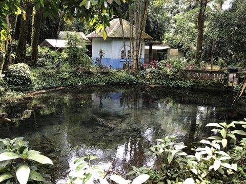 Hutan Bambu Sumbermujur Lumajang
