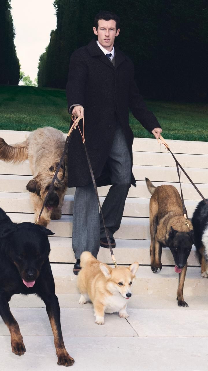 Louis Vuitton Rilis Koleksi Aksesori Anjing 2025