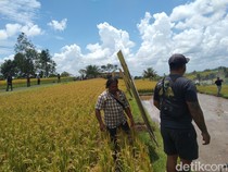 Sidak Pansus TRAP Berbuah Kisruh, Warga-Petani Jatiluwih Melawan!