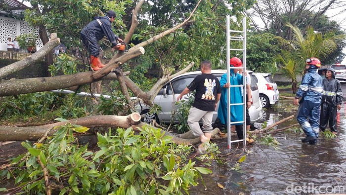 Pohon Tumbang Timpa 3 Mobil di Parkiran Dispermasdes Boyolali