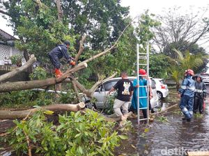 Pohon Tumbang Timpa 3 Mobil di Parkiran Dispermasdes Boyolali