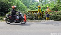 Petugas menggunakan alat manual untuk membersihkan ranting-ranting pohon di badan jalan agar arus lalu lintas kembali normal setelah kejadian pohon tumbang.