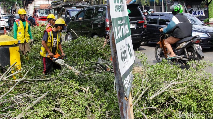 Petugas memeriksa batang pohon besar yang tumbang di Jalan Raya Muchtar, Depok, Kamis (4/12/2025), setelah kawasan itu diguyur hujan deras dan angin kencang.