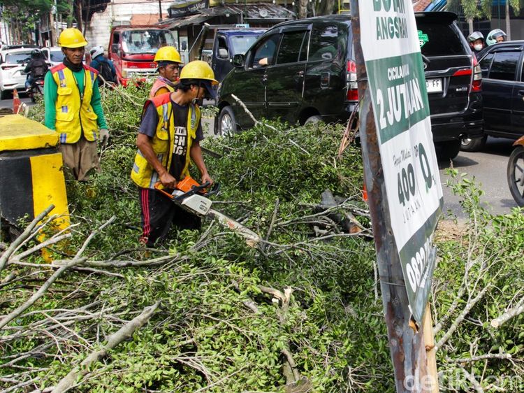 Petugas Gerak Cepat Bersihkan Pohon Tumbang Timpa Kabel di Depok